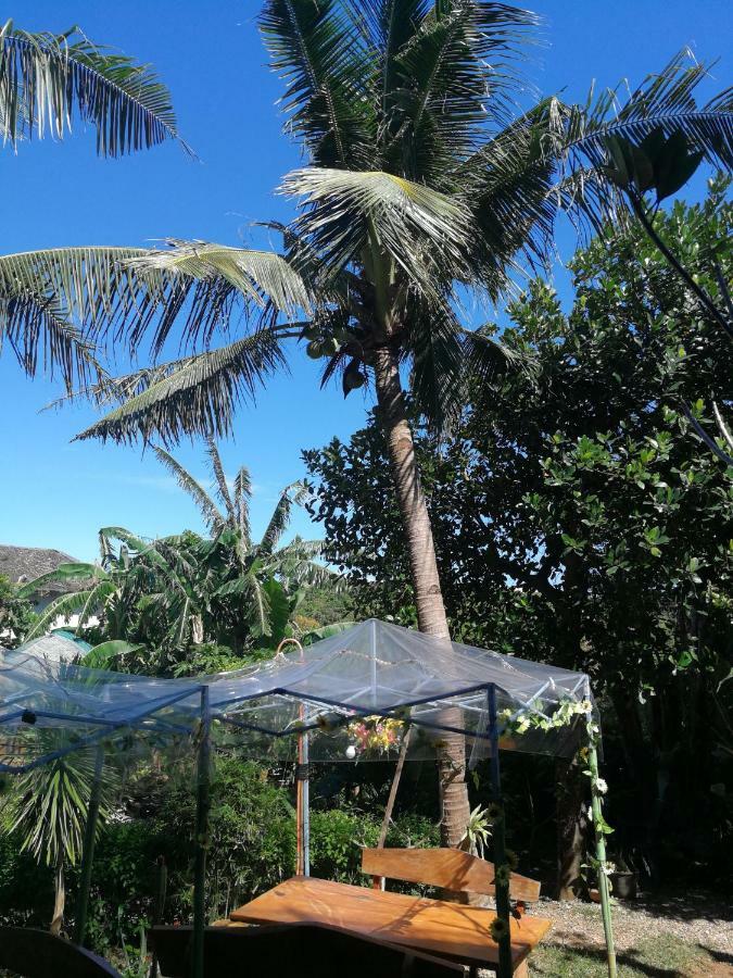 Boracay Eden Villa Manoc-Manoc المظهر الخارجي الصورة